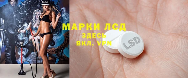 эйфоретик Аркадак