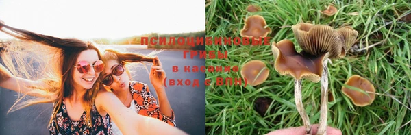 кокаин Арсеньев
