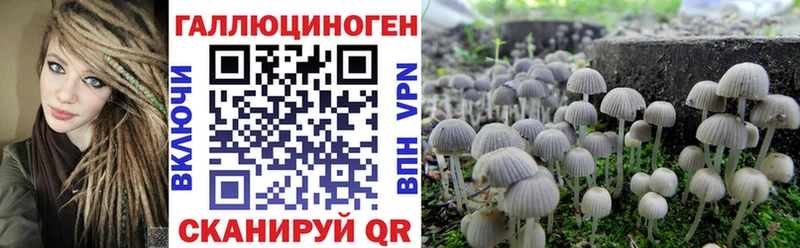 Купить  Новая Ляля  Галлюциногенные грибы мицелий 