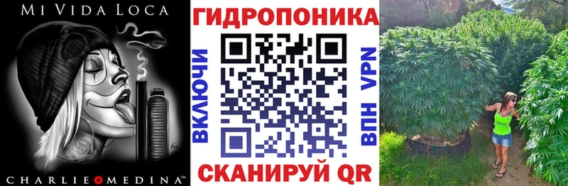 Купить закладки  Новая Ляля  Канабис сатива 